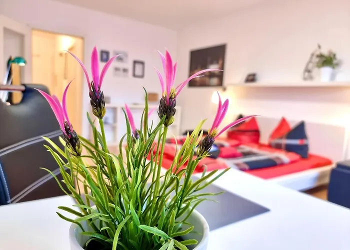 Διαμέρισμα 2,4,5,6 Altstadt - Am Grossen Garten