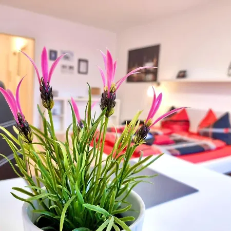 Апартаменты 2,4,5,6 Altstadt - Am Grossen Garten
