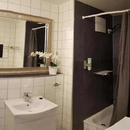 2,4,5,6 Altstadt - Am Grossen Garten Апартаменты *